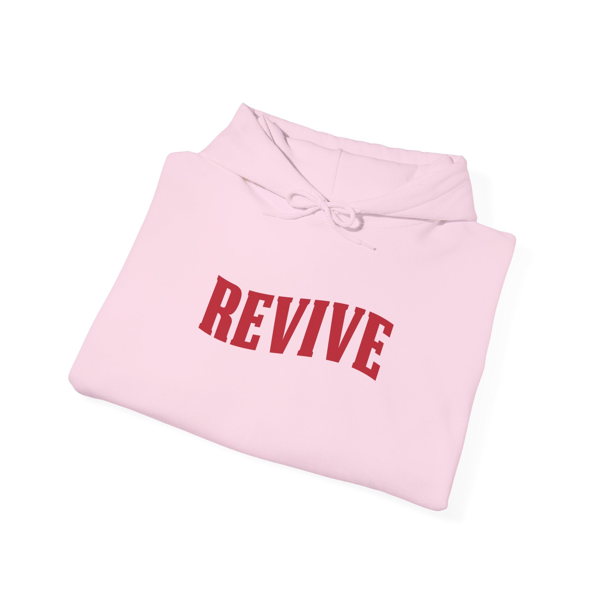 Revive Inspirational Unisex Hoodie
