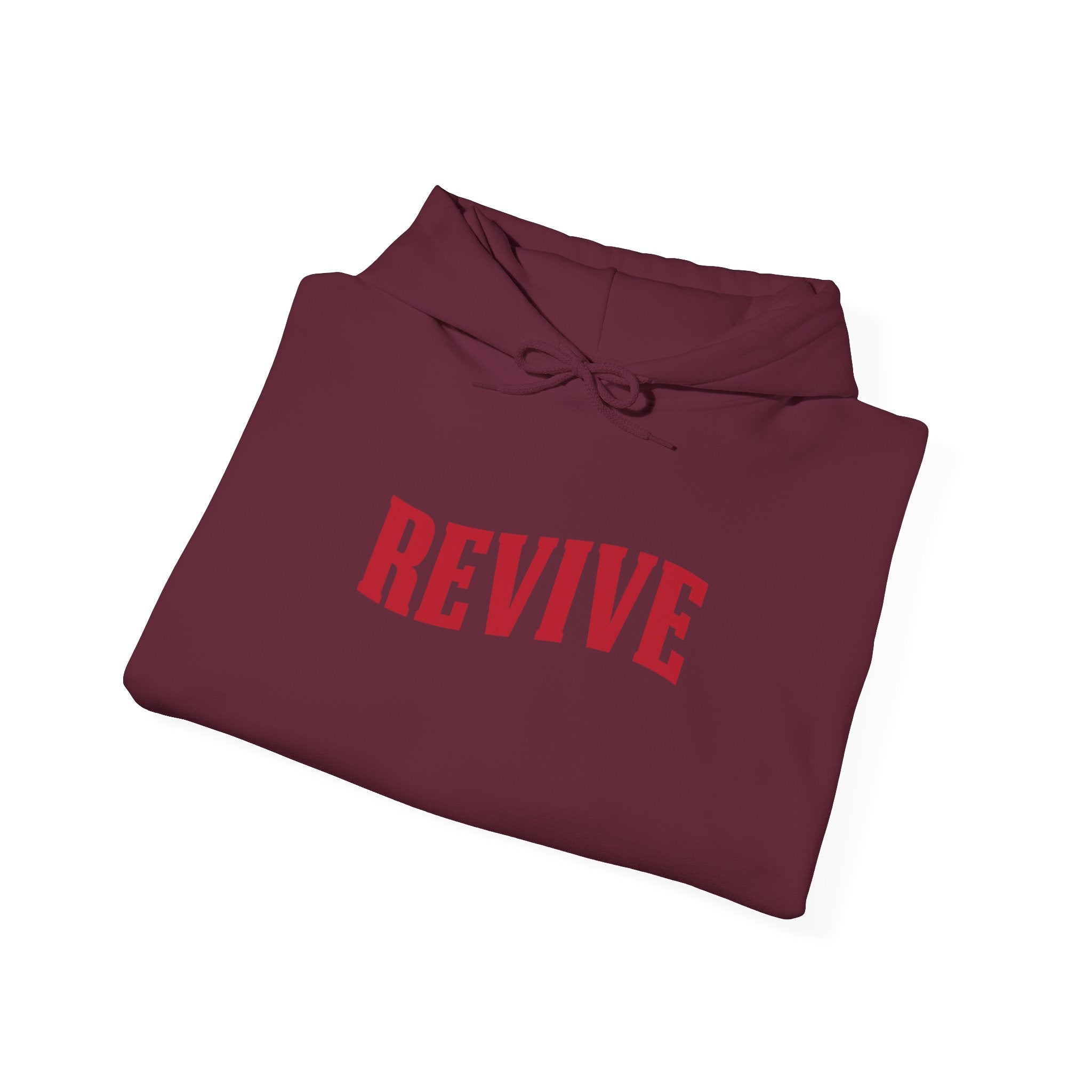 Revive Inspirational Unisex Hoodie