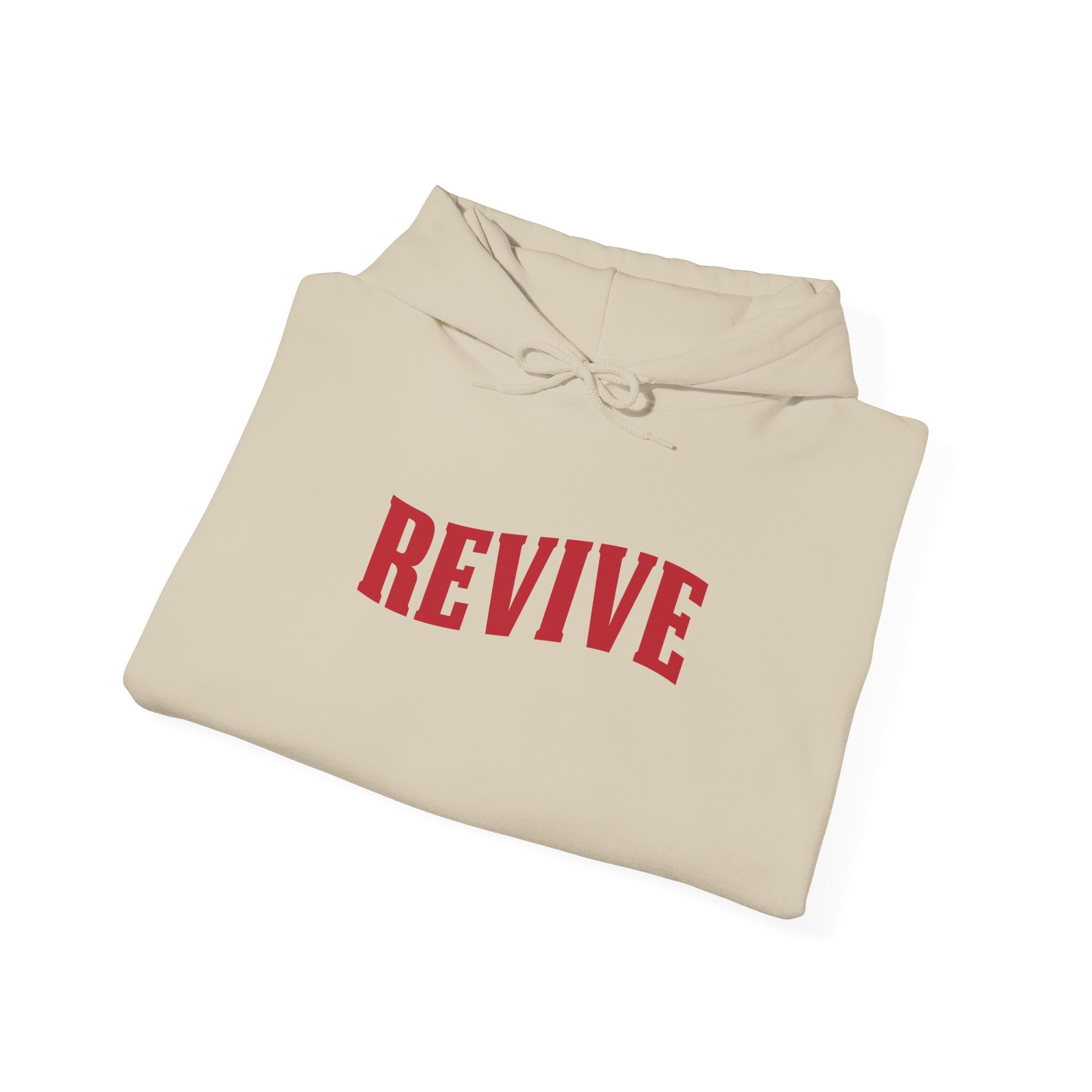 Revive Inspirational Unisex Hoodie