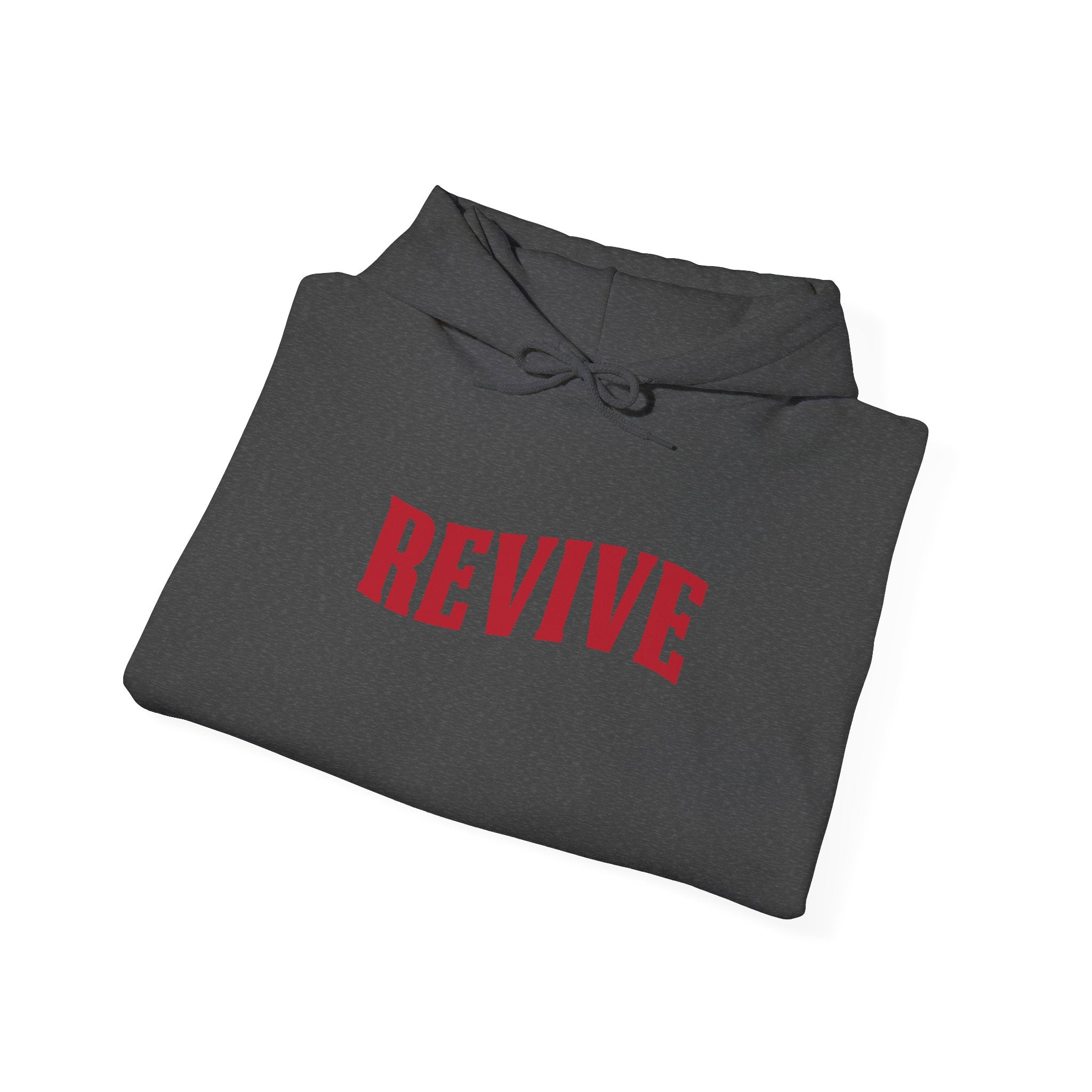 Revive Inspirational Unisex Hoodie