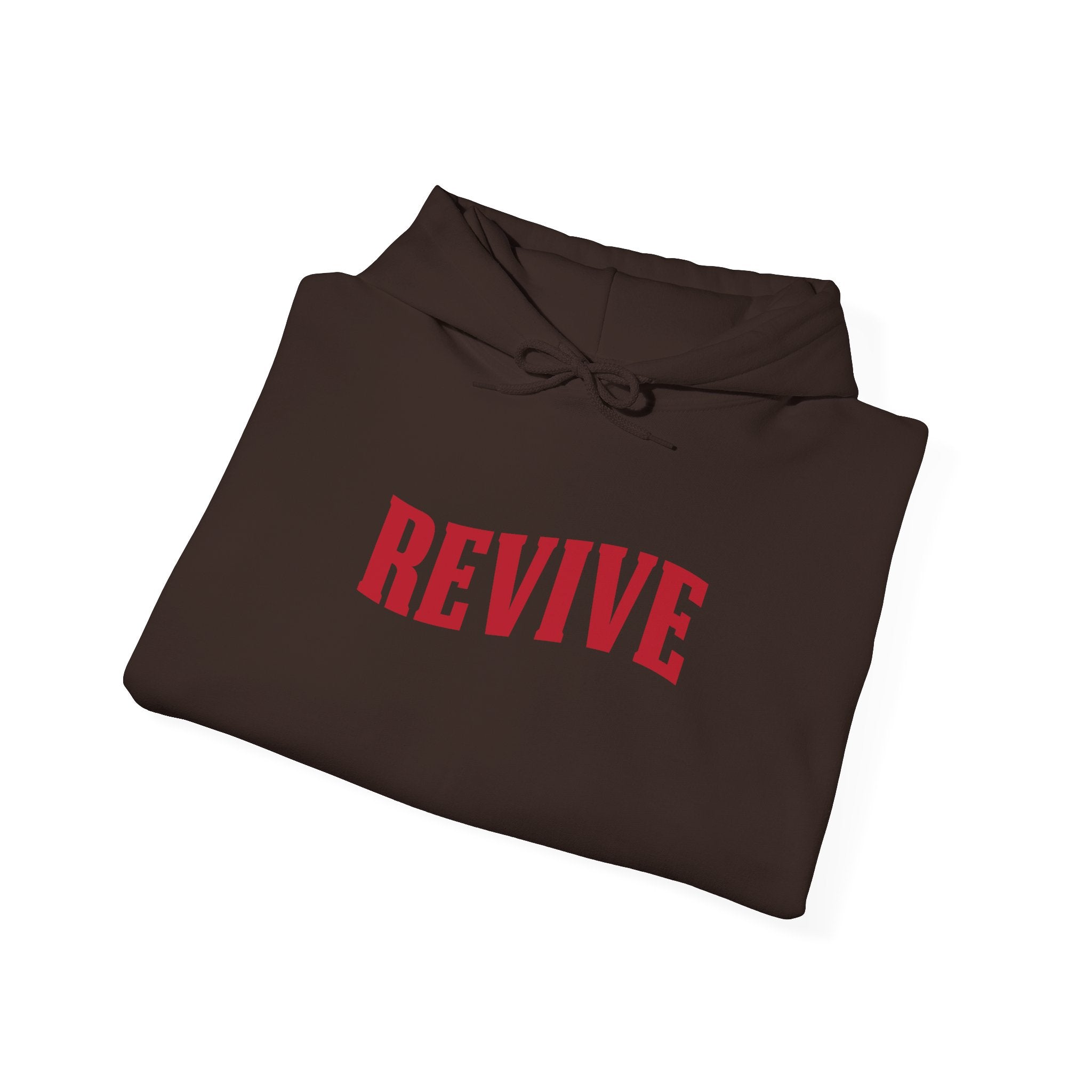 Revive Inspirational Unisex Hoodie